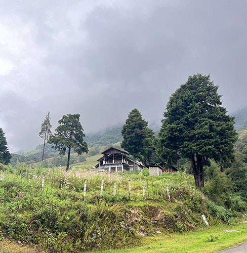 North East Himalayan Odyssey