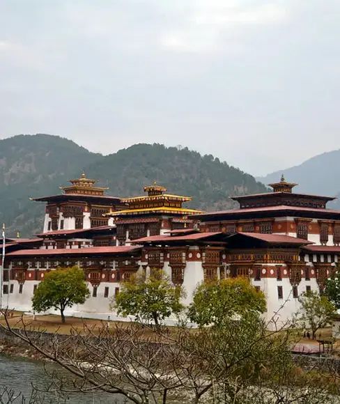 blog_bhutan2_488x580 blog_bhutan2_488x580